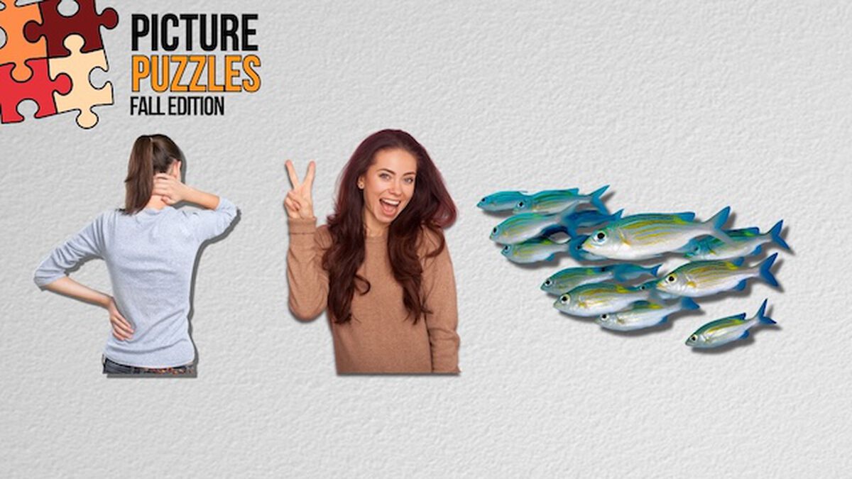 Picture Puzzles: Fall Edition image number null